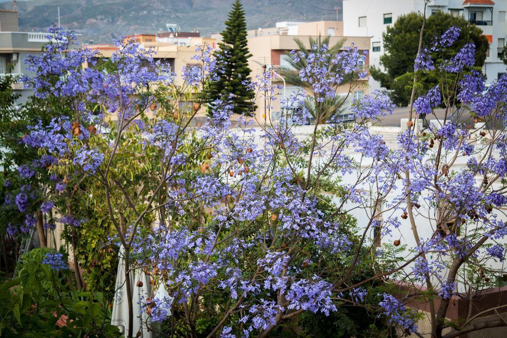 Hostal Restaurante La Curva Adra Εξωτερικό φωτογραφία